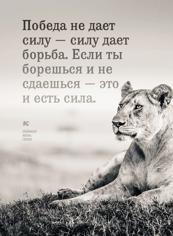 Победа не дает силу силу дает борьба Если ты борешься И не