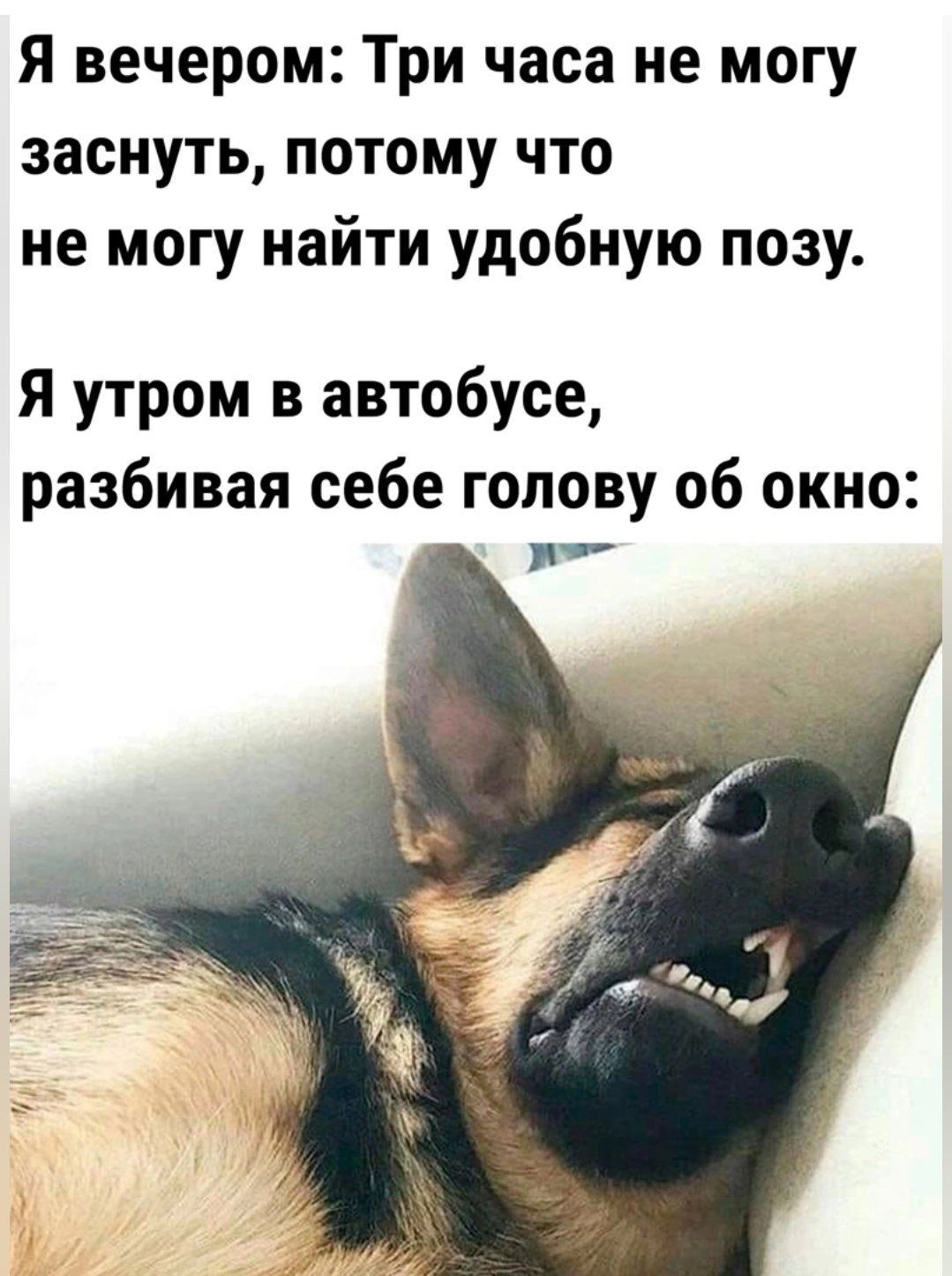 Потому что прошу