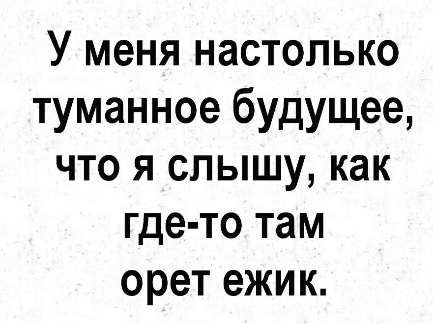 У меня настолько туманное будущее что я слышу как где то там орет ежик