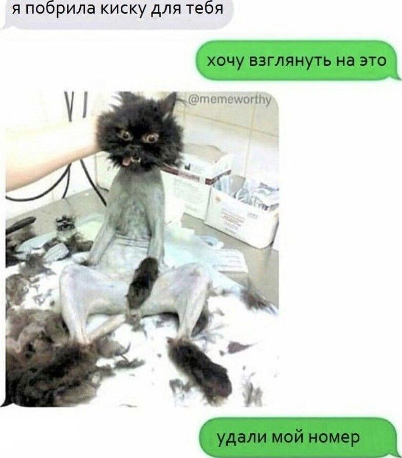 я побрила киску для тебя шстсшшту д