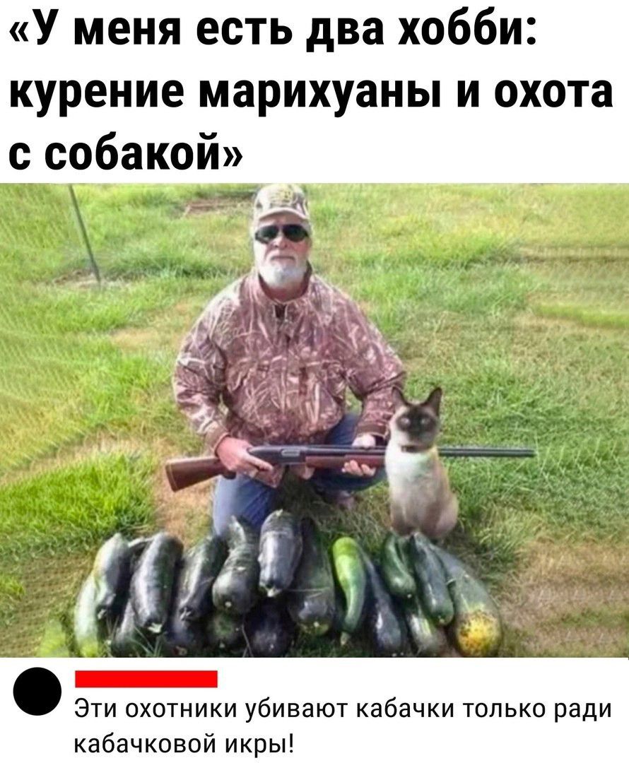 У меня есть два хобби курение марихуаны и охота с собакой 4 А лщмч Эти охотники убивают кабачки только ради кабачковой икры