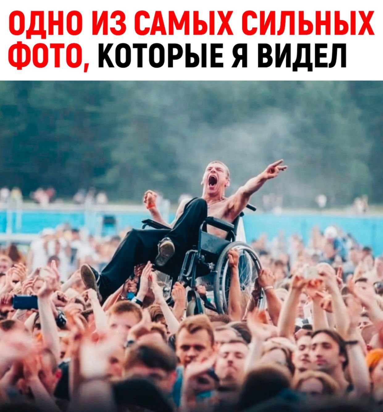 КОТОРЫЕ Я ВИДЕЛ ь н В Л И С ь С 3 И 0 н д О ФОТО