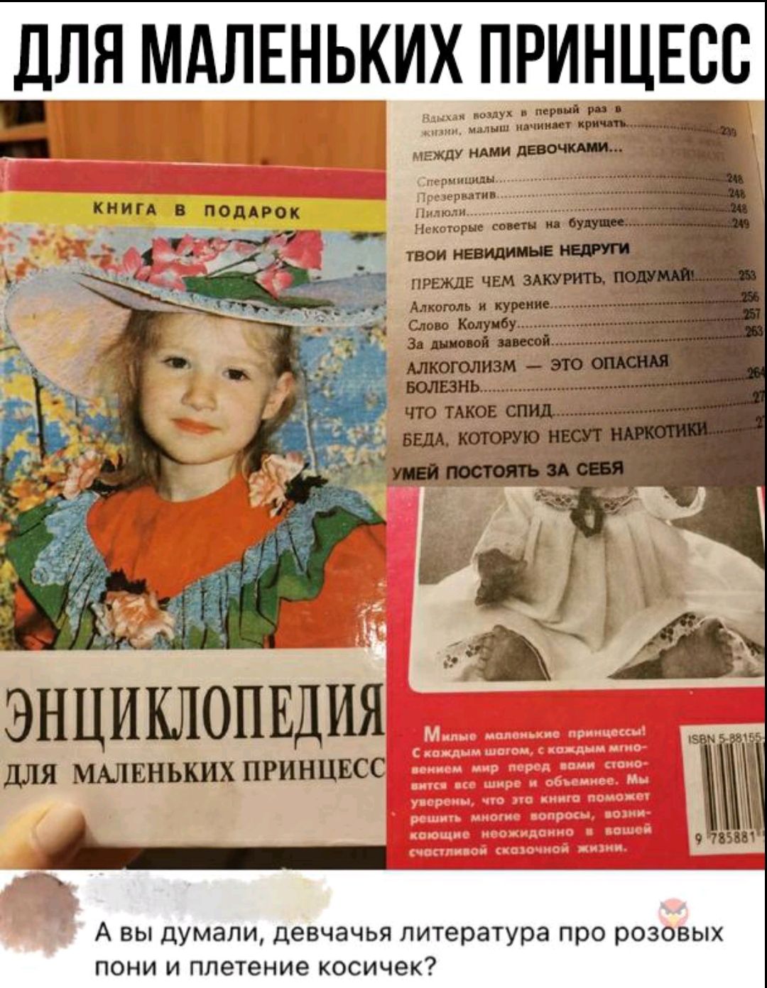 ВЛЯМАЛЕНЬКИХ ПРИН_Ц_ЕВВ ЭНЦИКЛОПЕДИЯ ШШ МАЛЕНЬКИХ ПРИНЦЕСС А вы думали девчачья пичература про розовых пони и плетение Косичек