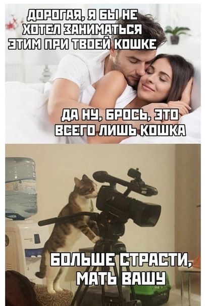 ШКШ