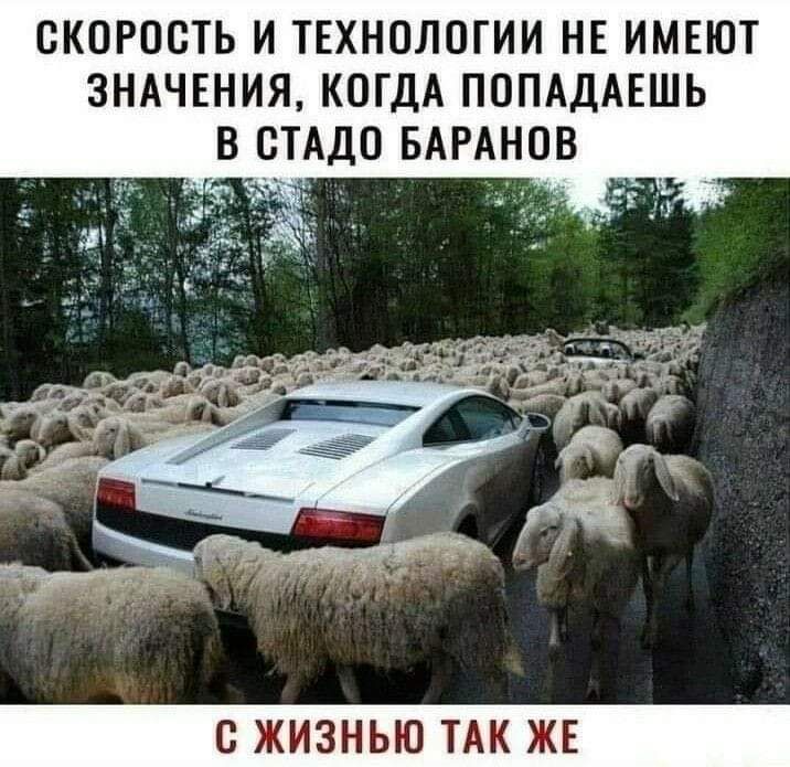 СКОРОСТЬ И ТЕХНОЛОГИИ НЕ ИМЕЮТ ЗНАЧЕНИЯ КОГДА ПОПАДАЕШЬ В СТАДО БАРАНОВ С ЖИЗНЬЮ ТАК ЖЕ