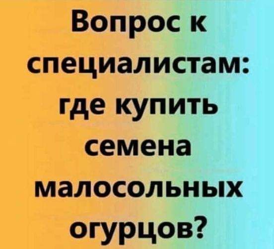 Вопрос к специалистам где купить семена малосольных огурцов