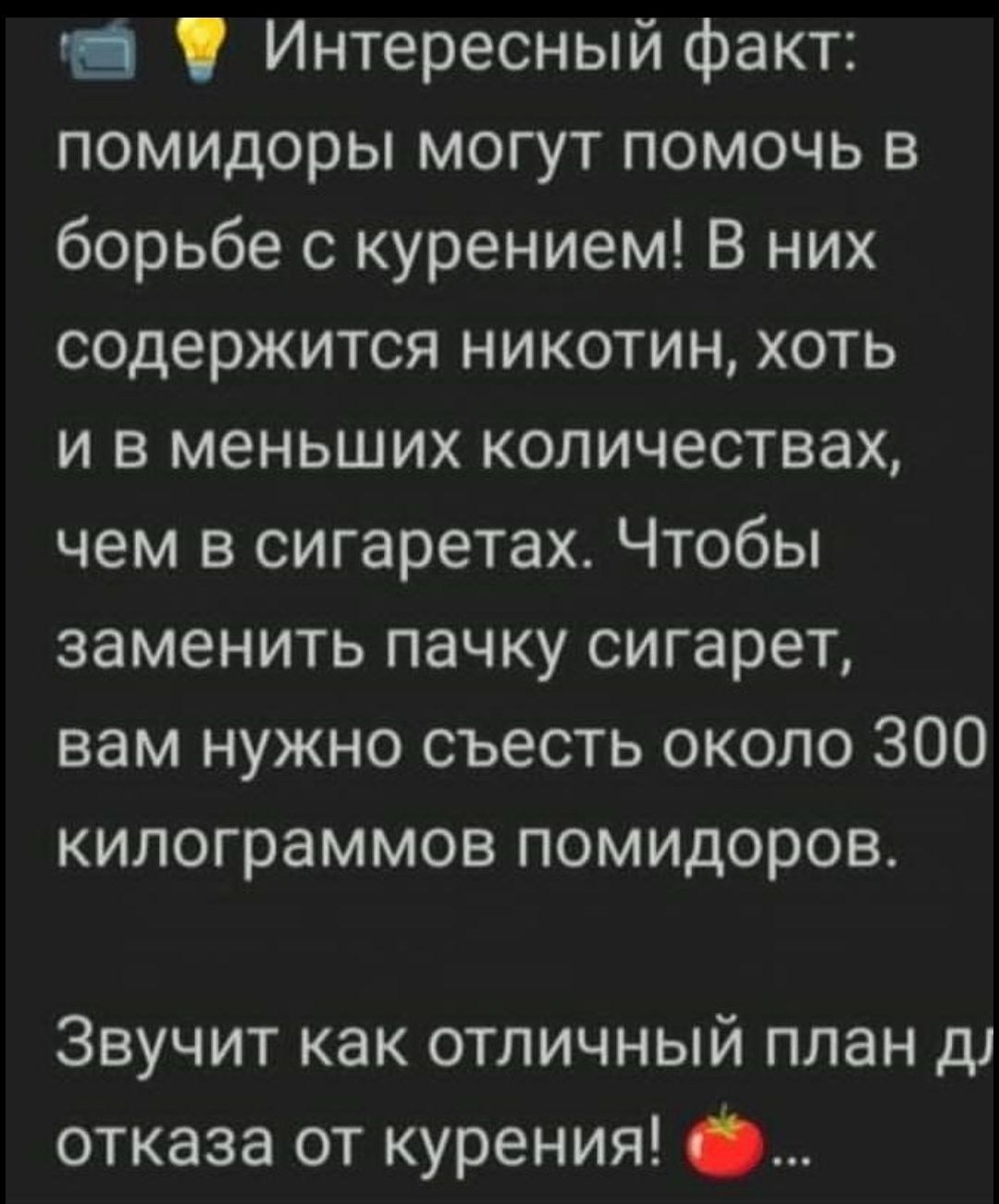 жа Интересный факт помидоры могут помочь в борьбе с курением В них содержится никотин хоть и в меньших количествах чем в сигаретах Чтобы заменить пачку сигарет вам нужно съесть около 300 килограммов помидоров Звучит как отличный план д отказа от курения