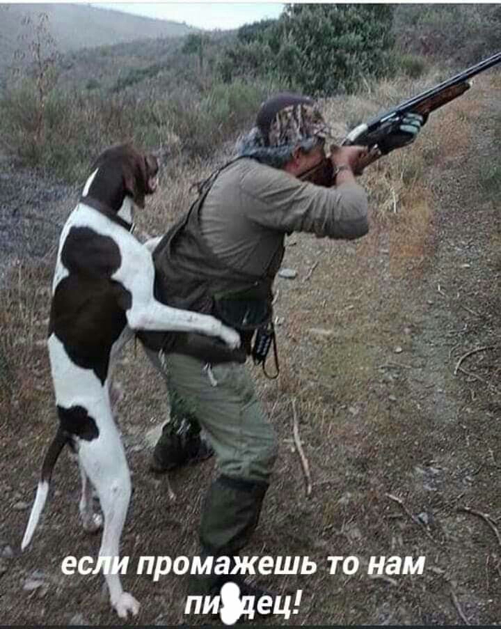 ПРОМЗЖЕШЬ тонам Меч г2_