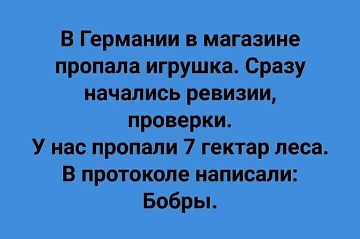 В Германии в магазине пропала игрушка Сразу начались ревизии проверки У нас пропали 7 гектар леса В протоколе написали Бобры