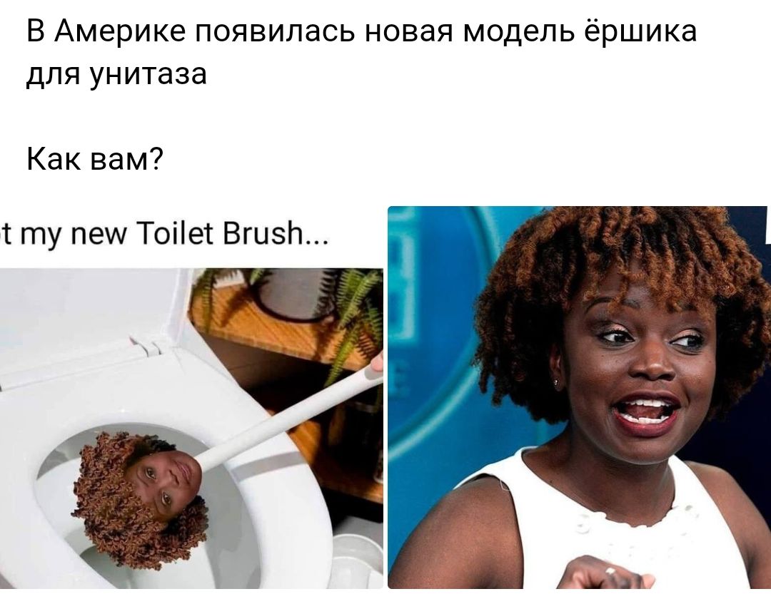 В Америке появилась новая модель ёршика для унитаза Как вам ту пеш Тоііеі Вшэп