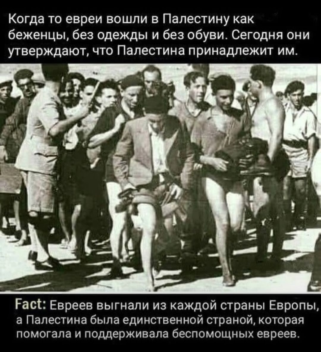 Когда то евреи вошли в Палестину как беженцы без одежды и без обуви Сегодня они угверждают что Палестина принадлежит им Раз Евреев выгнали из каждой страны Европы а Палестина Была единственной странэй которая помогала и поддерживала беспомощных евреев
