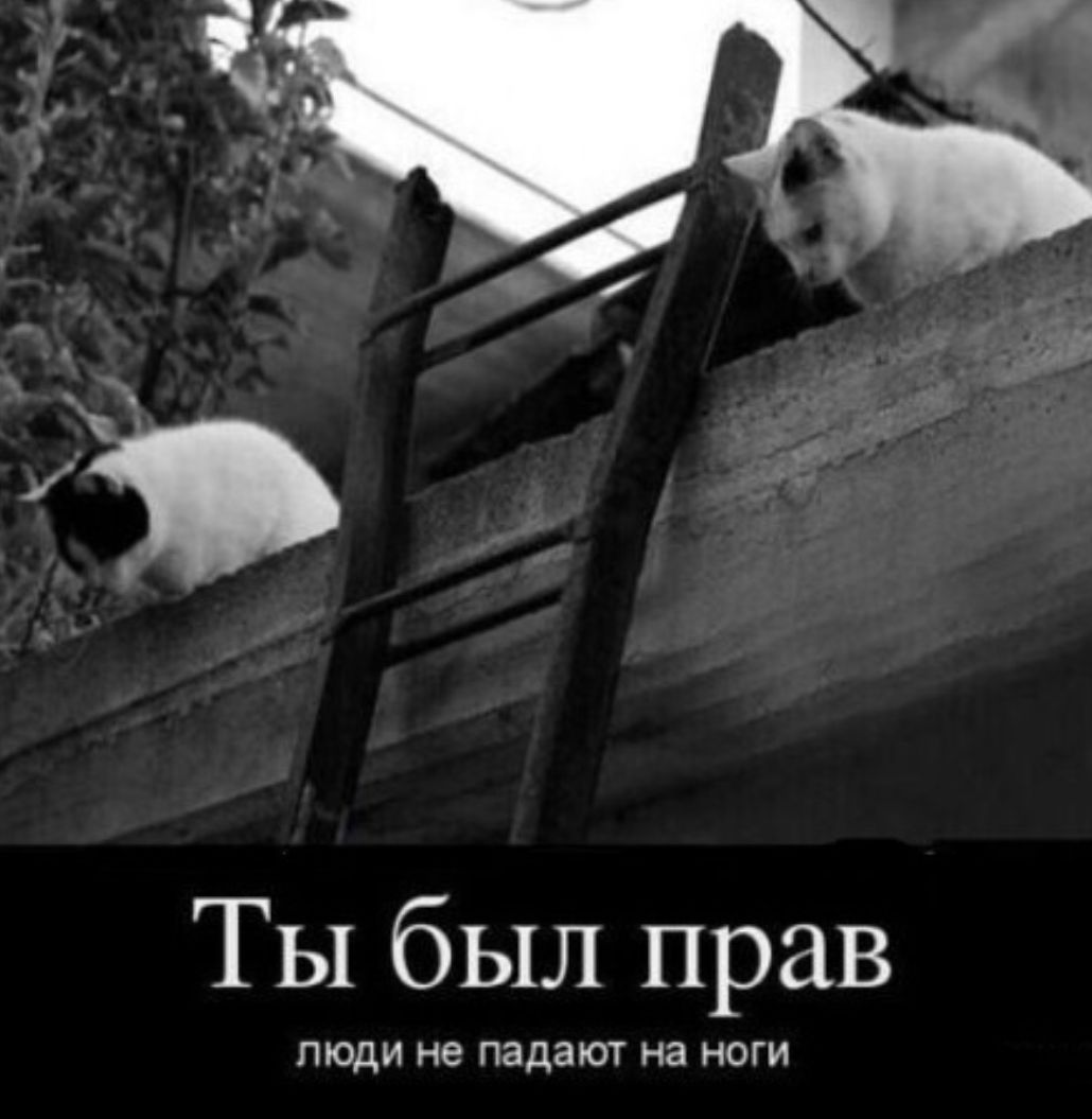 Ты был прав тоди не падаюч а ноги