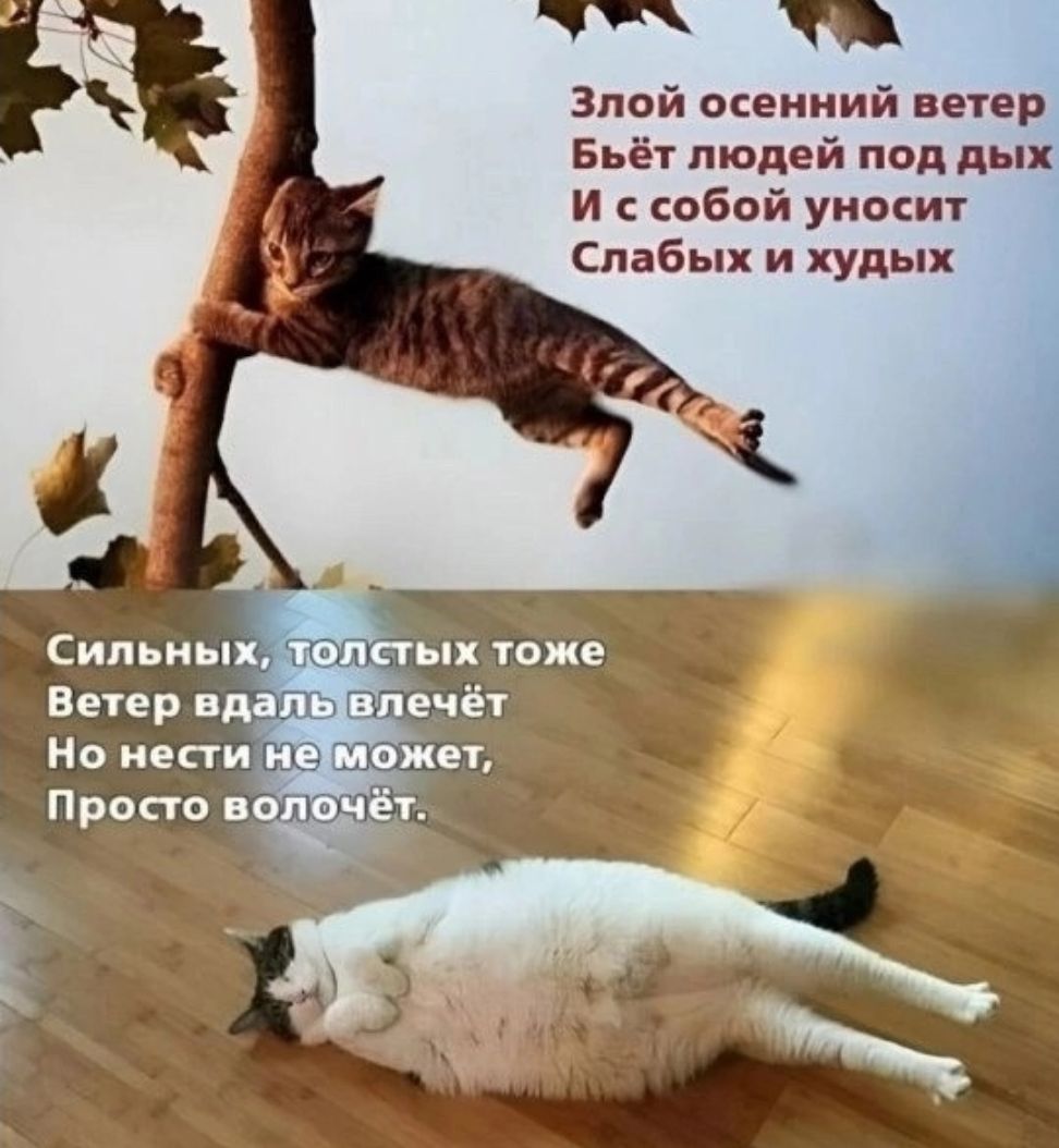 Злой окениий ветви Бьёт людей под пых И сабой уиосич пабы и кудых