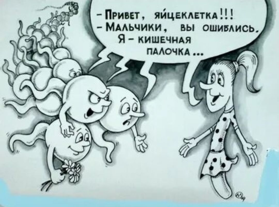 ПРивет ЯЙЦЕКЛЕТКА МАЛЬЧИКИ ВЫ ОШИБЛИСЬ Я КИШЕЧНАЯ