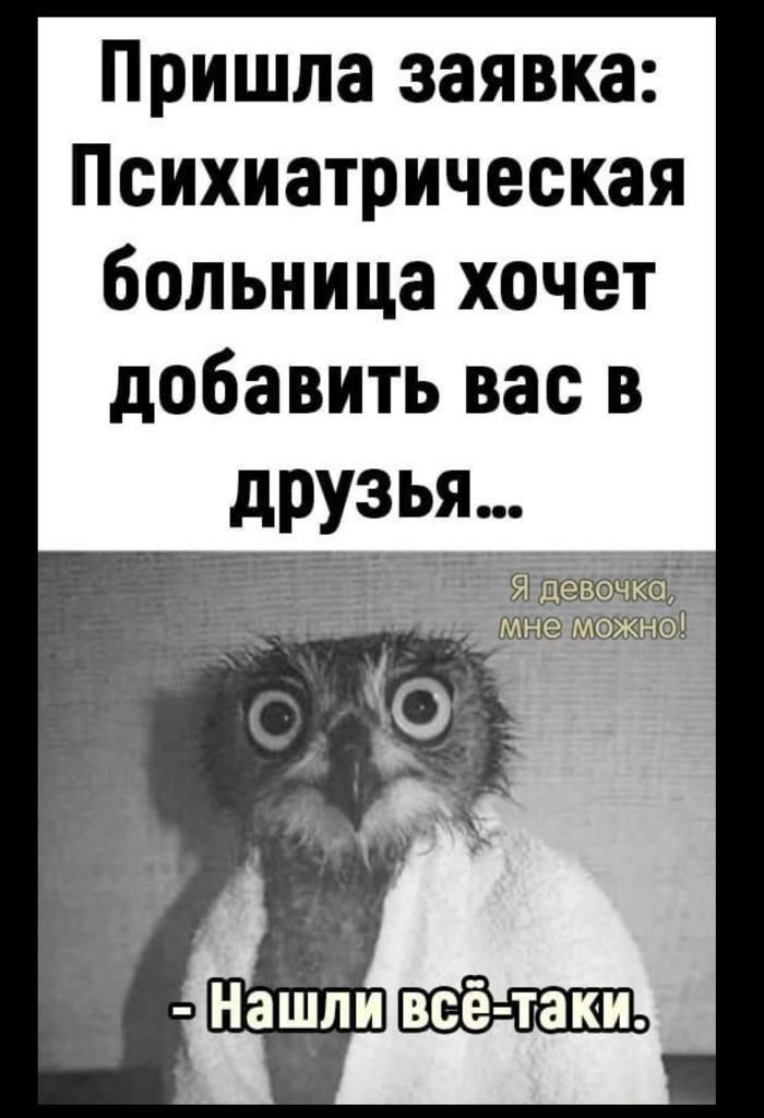 Пришла заявка Психиатрическая больница хочет добавить вас в друзья