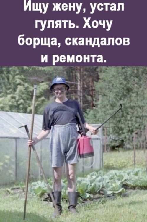 Ищу жену устал гулять Хочу борща скандалов и ремонта