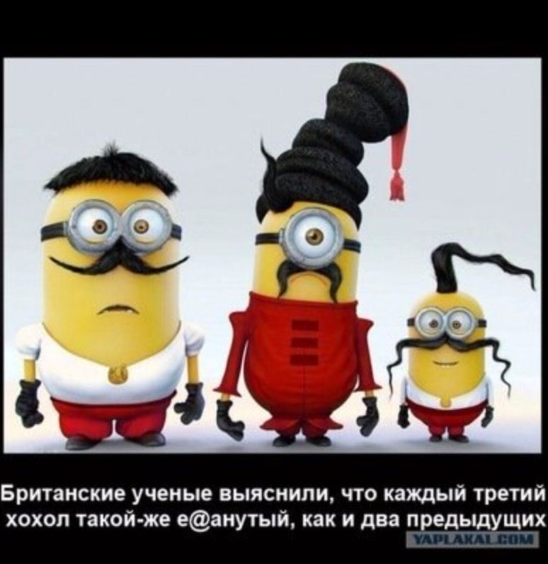 Британские ученые выяснили что каждый третий хохол такой же еанутый как и два предыдущих
