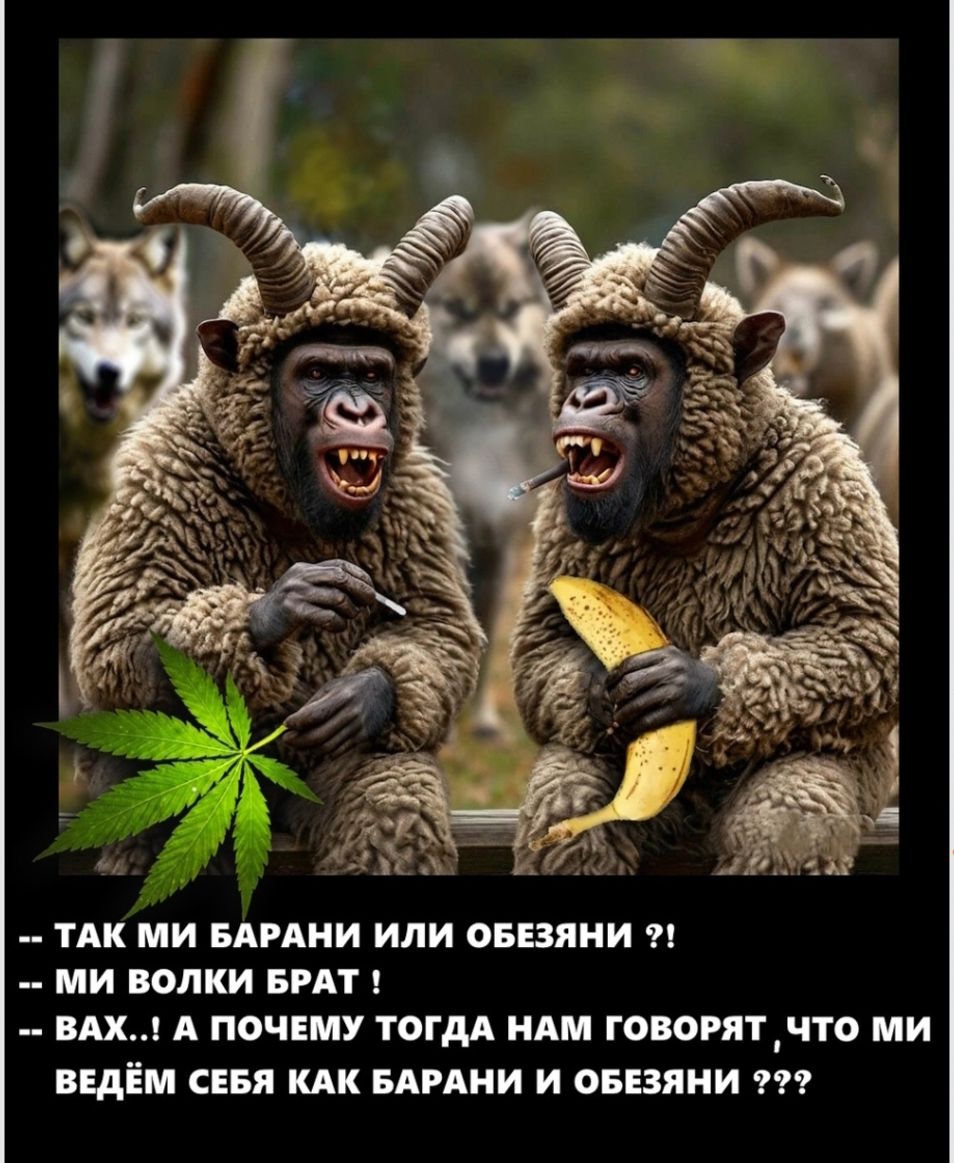 ТАК МИ БАРАНИ ИЛИ ОБЕЗЯНИ МИ ВОЛКИ БРАТ ВАХ А ПОЧЕМУ ТОГДА НАМ ГОВОРЯТ ЧТО МИ ВЕДЁМ СЕБЯ КАК БАРАНИ И ОБЕЗЯНИ