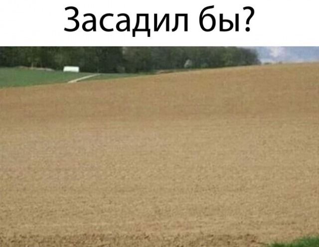 Засадил бы?
