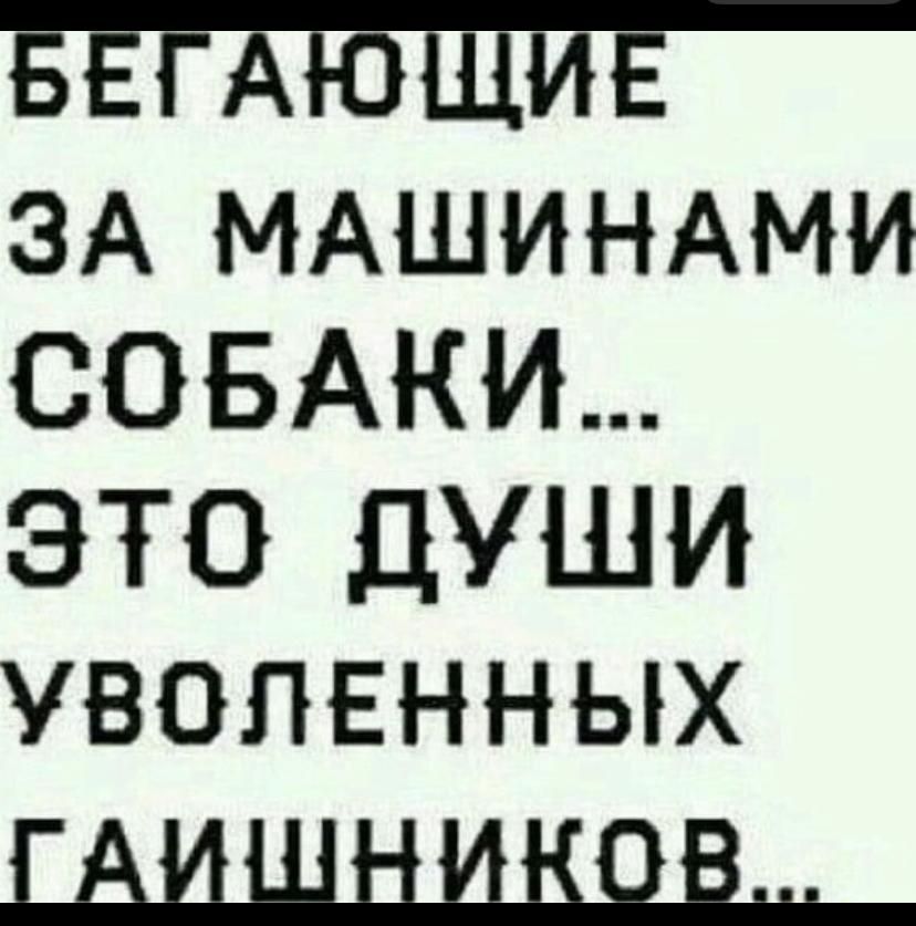 БЕГАЮЩИЕ ЗА МАШИНАМИ СОБАКИ... ЭТО ДУШИ УВОЛЕННЫХ ГАЙШНИКОВ...