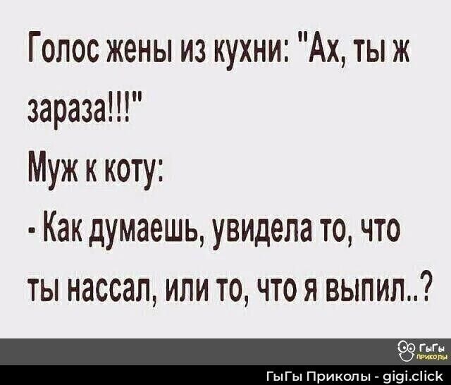 Голос жены из кухни: 