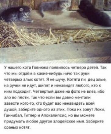У машет кшв Гошока появилось чпверо деки Пк мы ошагм в какие ние ничо ру швед злы ки и ие шучу мич пи де злые на ручки ищи шип тим ч любиш ш нии подходи Чвчверыи даже на Фоо влез ибо или О плот Таи чп если вы АМ Мечник вмест копии то будет ненавидеть пеи душой зай риге оди п и о п Минивэн идеи и Апммимис нп вы мо при думны швм дру злодейски Задержи БПВИЫХ ОПП