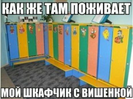 М ці 0И ШКАФЧИ ВИШЕННПЙ глин