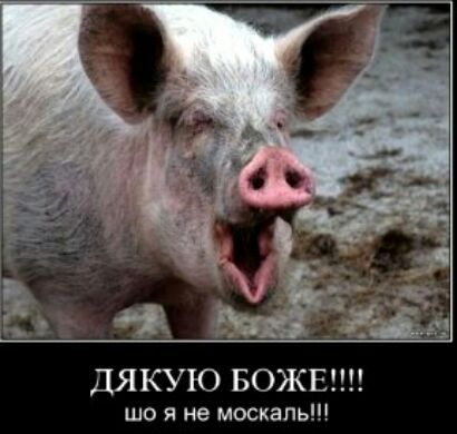 ДЯКУЮ БОЖЕ що я не москаль