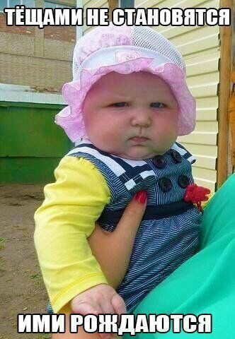 днищ