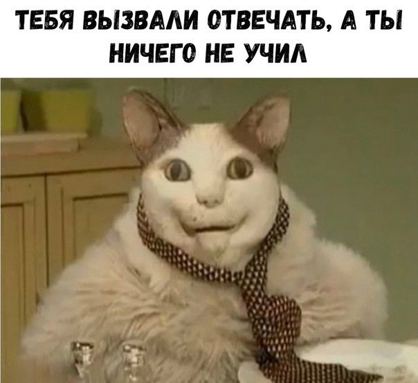 ТЕБЯ ВЫЗВААИ ОТВЕЧАТЬ А ТЫ НИЧЕГ 0 НЕ УЧИА