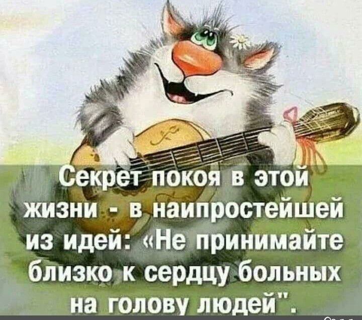 екреі іюкоя в этой жизни в наипростейшей из идей Не Принимайте близко к сердцу больных на голову людей Ж