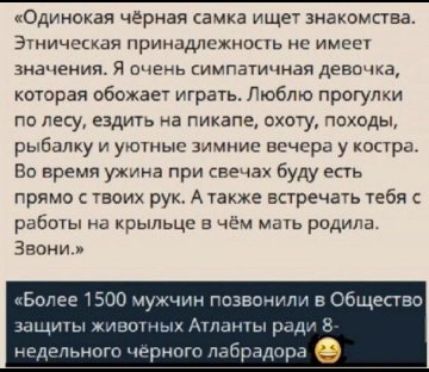 Одинокая чёрная саика ище знакомства Видич гиды принцдлсюшиь ис значения 71 сигь импатичнзп дено ца которая обожае играть Гюбто прогул ПО ЛЕСУ ЁЗДИТЬ на ГИКЗПЕ ОХВУ ОХОДЬЬ рыбалку уютные злииис всчсра у копры Во время ужна при буду ть прямо воих рук А акже встречаь тебя раЬшы коыпьцс в чим и ро Звони _чугмщ гсзнпчгт ш __ нии рц