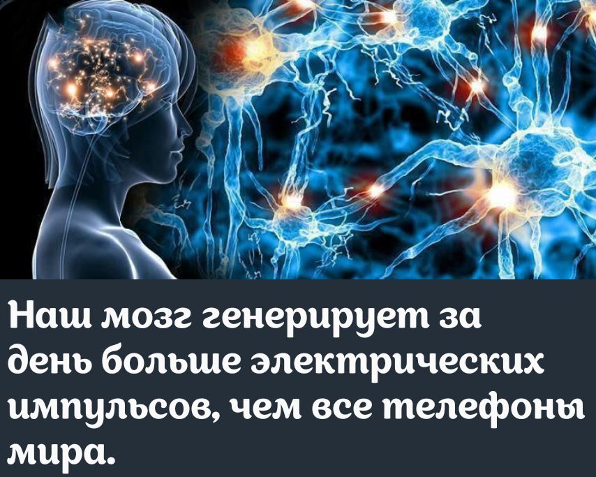 Ниш мозг генерирует за день больше электрических импульсов чем все телефоны мира