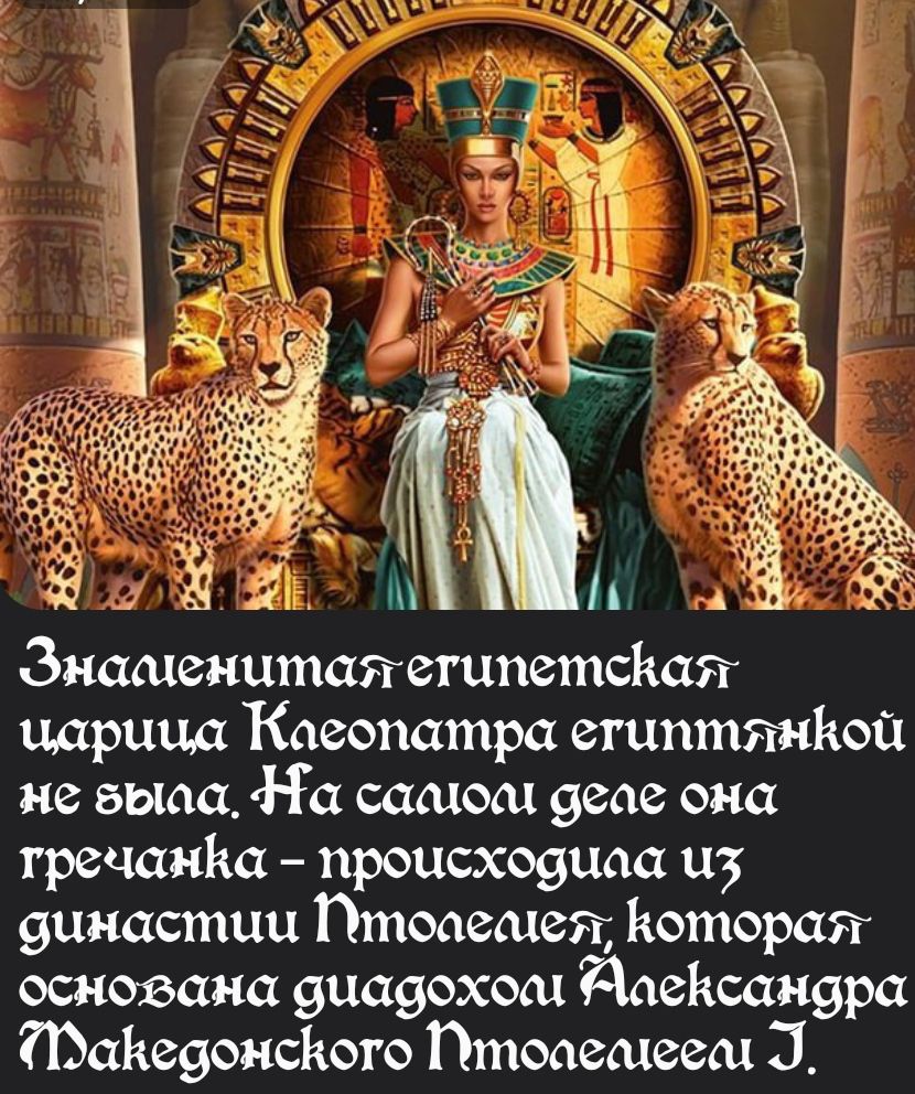 Знаменитаяветипетская чцарица Каеопатра етилтянКой не выда НГа самой деае она тречанКа происходиаа из бинастии Гтоаемеял Которая основана диадохом Раексанара Пскедонского Гутоаемеем