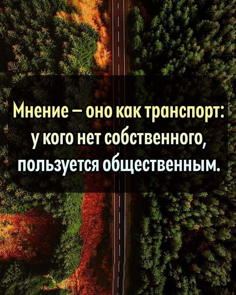 Мнение оно как транспорт у кого нет собственного пользуется общественным г