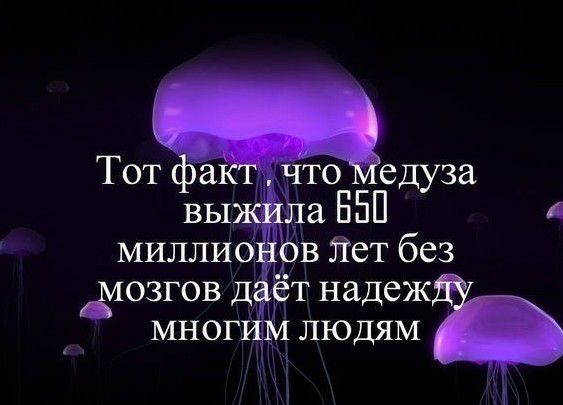 Тот факт, что медуза выжила 650 миллионов лет без мозгов даёт надежду многим людям