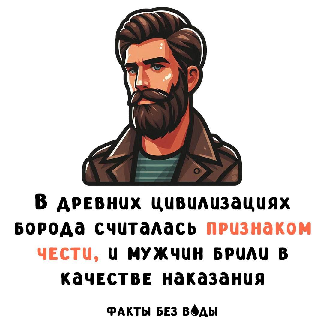 В древних цивилизациях борода считалась признаком чести, и мужчин брили в качестве наказания
ФАКТЫ БЕЗ ВОДЫ