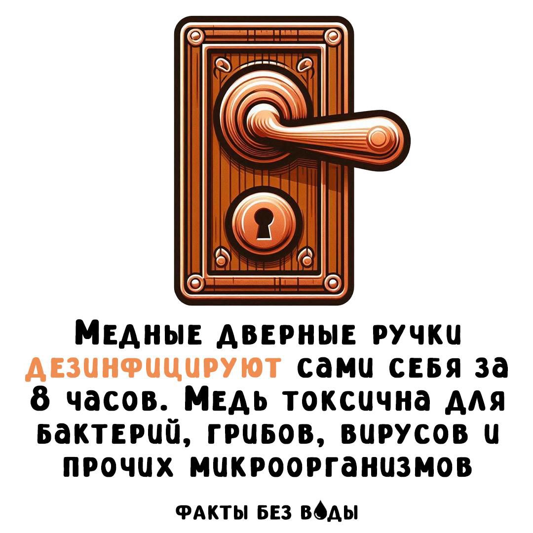 Медные дверные ручки ДЕЗИНФИЦИРУЮТ сами себя за 8 часов. Медь токсична для бактерий, грибов, вирусов и прочих микроорганизмов
ФАКТЫ БЕЗ ВОДЫ