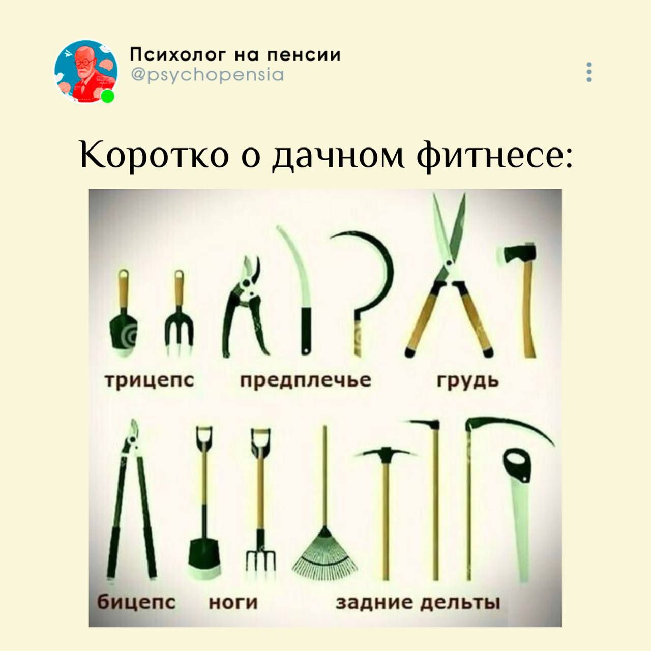 Коротко о дачном фитнесе:

трицепс
предплечье
грудь

бицепс
ноги
задние дельты