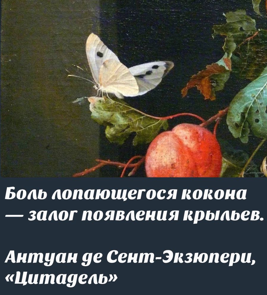 Боль лопающегося кокона — залог появления крыльев.
Антуан де Сент-Экзюпери, «Цитадель»