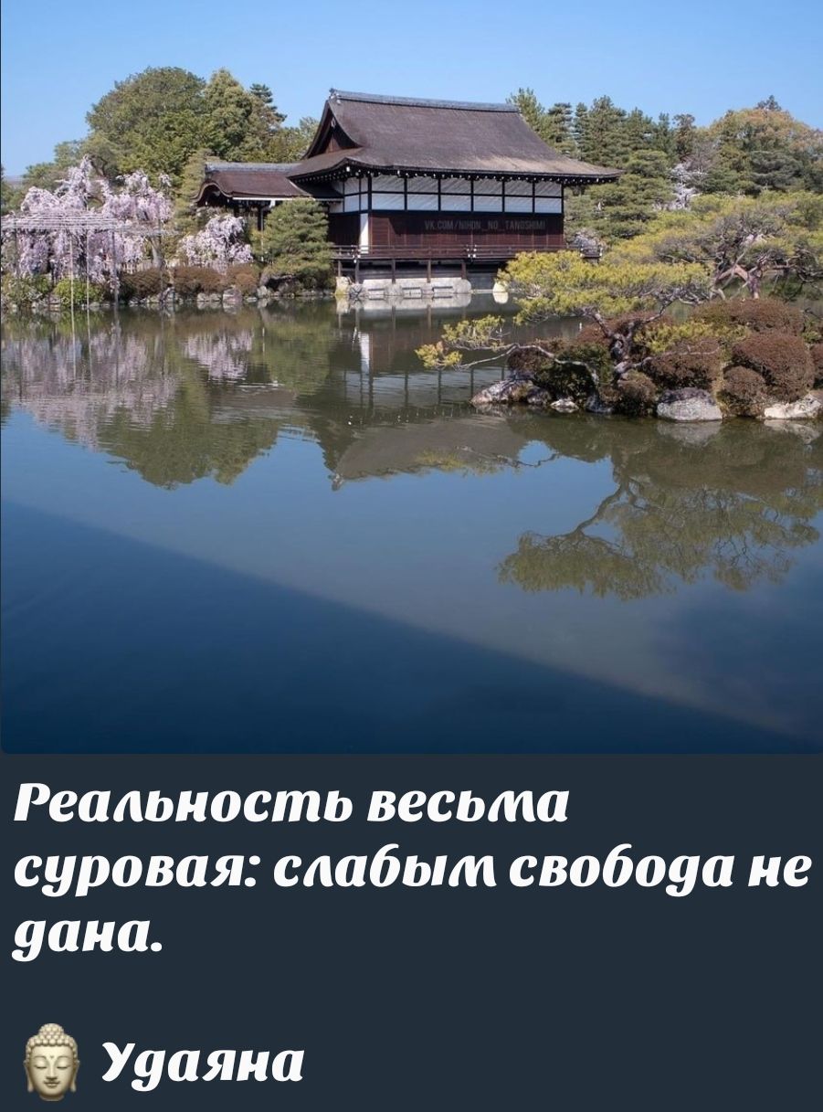 Реальность весьма суровая: слабым свобода не дана.
Удаyana