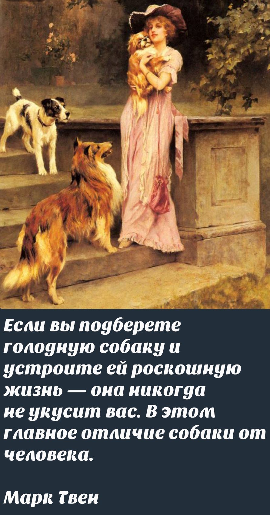 Если вы подберете голодную собаку и устроите ей роскошную жизнь — она никогда не укусит вас. В этом главное отличие собаки от человека.
Марк Твен