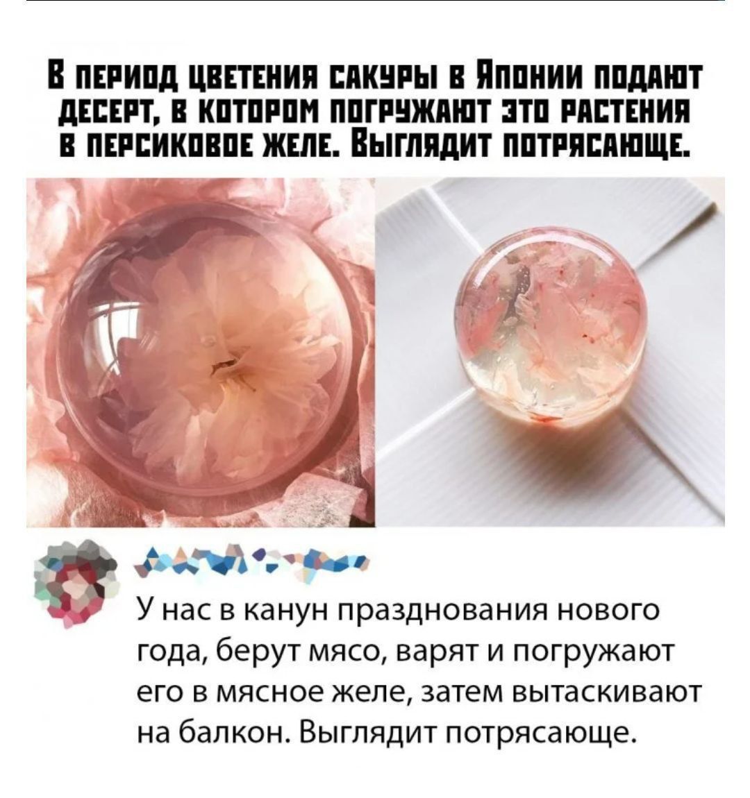 В период цветения сакуры в Японии подают десерт, в который погружают растение в персиковое желе. Выглядит потрясающе. У нас в канун празднования Нового года берут мясо, варят и погружают его в мясное желе, затем вытаскивают на балкон. Выглядит потрясающе.