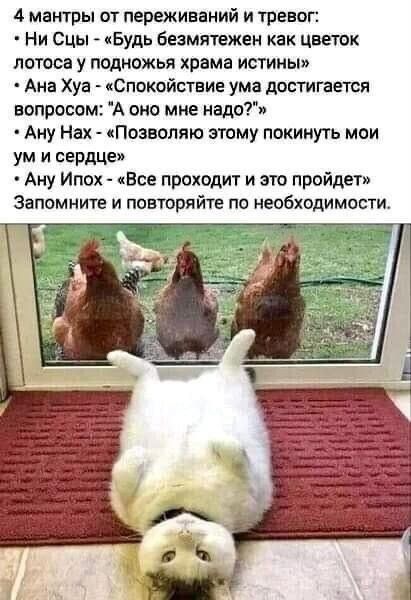 4 мантры от переживаний и тревог:
• Ни Сцы - «Будь безмятежен как цветок лотоса у подножья храма истины»
• Ана Хуа - «Спокойствие ума достигается вопросом: «А оно мне надо?»»
• Ану Нах - «Позволяю этому покинуть мои ум и сердце»
• Ану Иох - «Все проходит и это пройдет»
Запомните и повторяйте по необходимости.