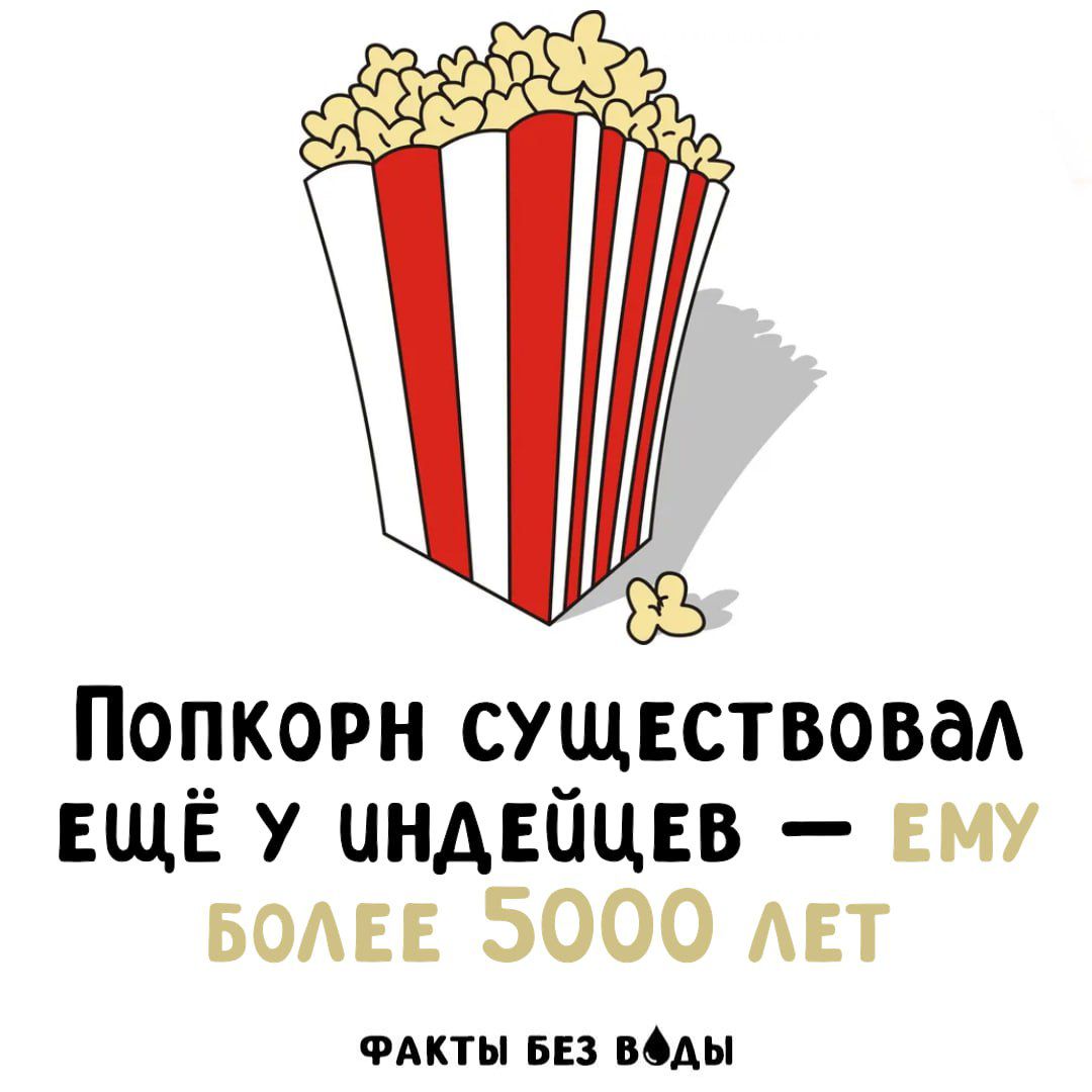 Попкорн существовал ещё у индейцев — ему более 5000 лет
ФАКТЫ БЕЗ ВОДЫ