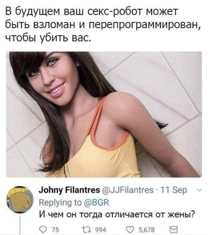 В будущем ваш секс-робот может быть взломан и перепрограммирован, чтобы убить вас. И чем он тогда отличается от жены?