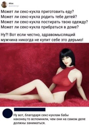 Может ли секс-кукла приготовить еду? Родить тебе детей? Постиреть одежду? Прибраться в доме? Ну вот, здоровомыслящий мужчина никогда не купит это дерьмо! Благодаря секс-куклам бабьи наконец-то вспомнили, чем они на самом деле должны заниматься.
