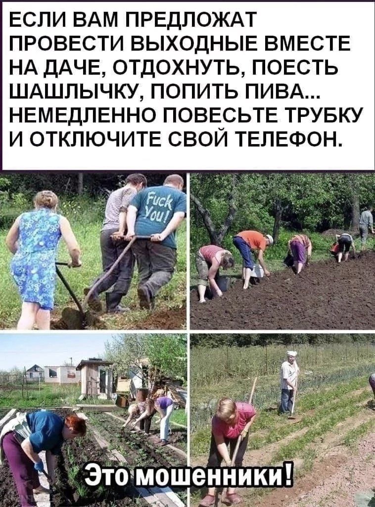 Если вам предложат провести выходные вместе на даче, отдохнуть, поесть шашлычку, попить пива... Немедленно повесьте трубку и отключите свой телефон. Это мошенники! Fuck You!