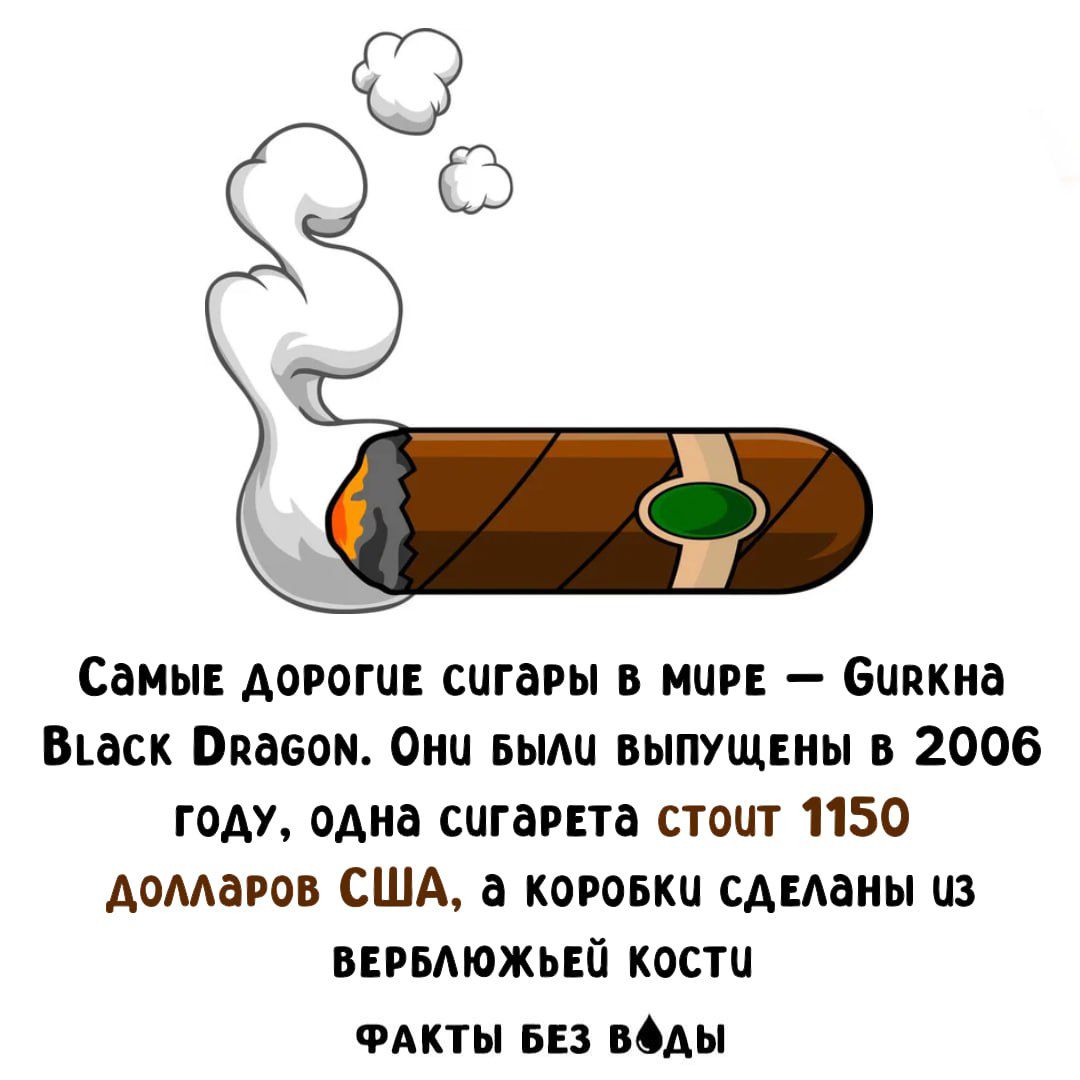 Самые дорогие сигары в мире — Gurkha Black Dragon. Они были выпущены в 2006 году, одна сигарета стоит 1150 долларов США, а коробки сделаны из верблюжьей кости
факты без воды