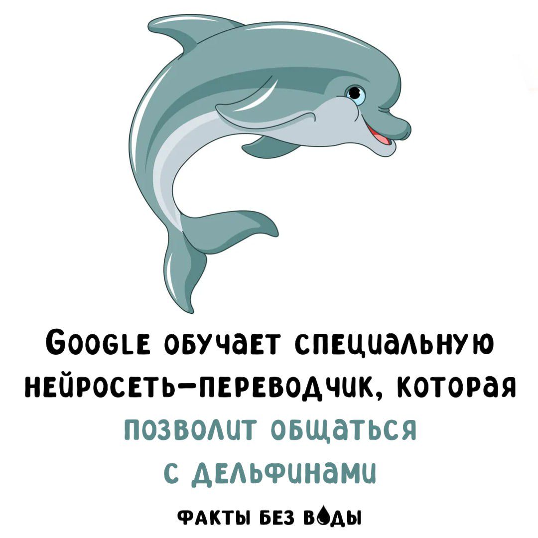 GOOGLE ОБУЧАЕТ СПЕЦИАЛЬНУЮ НЕЙРОСЕТЬ-ПЕРЕВОДЧИК, КОТОРАЯ ПОЗВОЛИТ ОБЩАТЬСЯ С ДЕЛЬФИНАМИ ФАКТЫ БЕЗ ВОДЫ